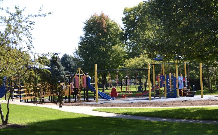 pediatric endodontics new lenox il