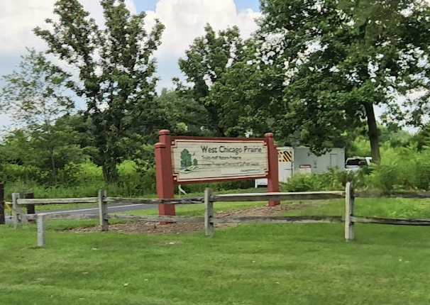 pediatric endodontics west chicago il